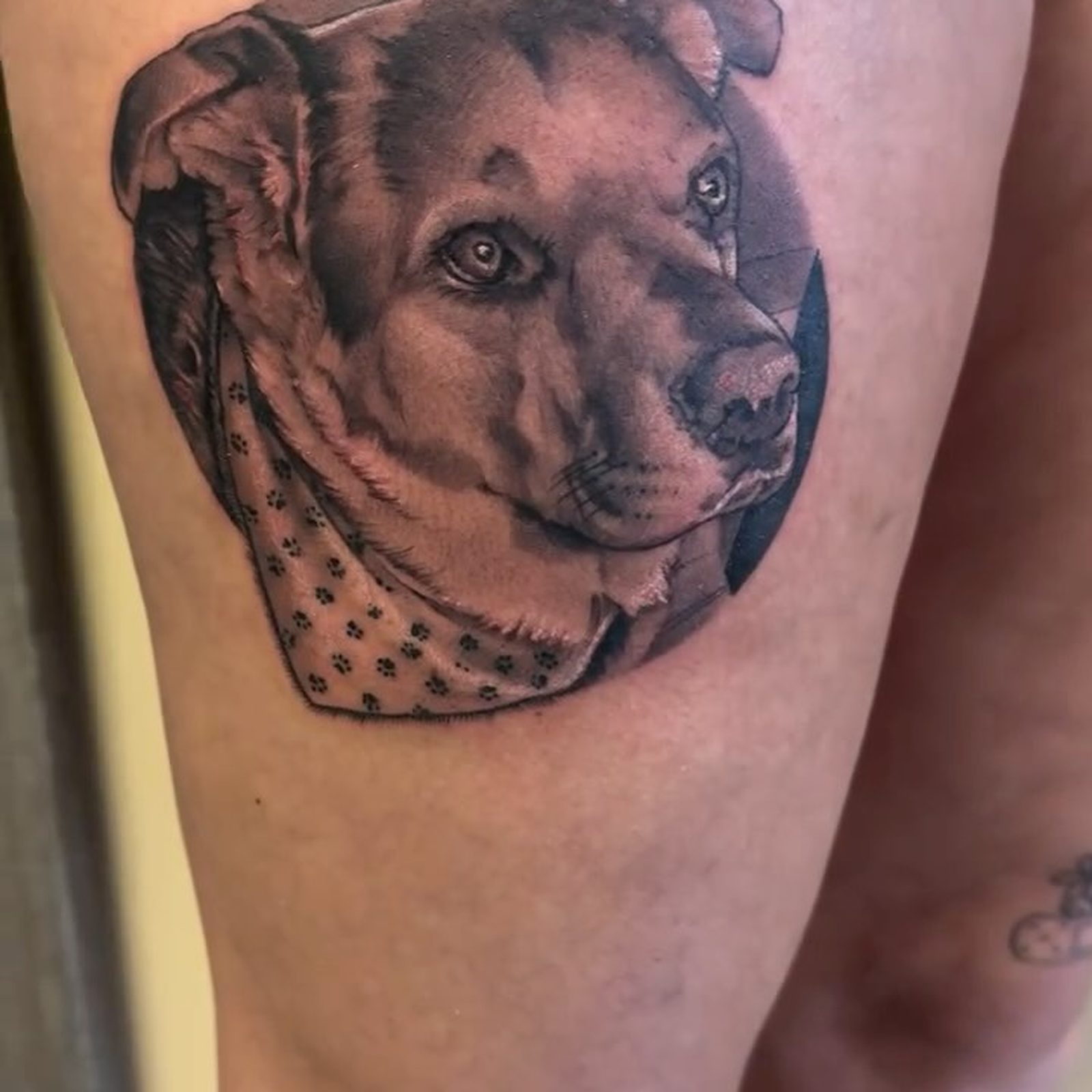 Devin Goff tattoo 09